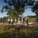 Geldersch Landschap & Kasteelen op zoek naar nieuwe excursievrijwilligers