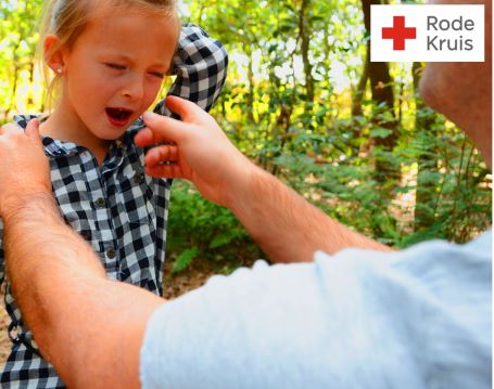 'EHBO aan baby’s en kinderen' bij Rode kruis Hattem–Wapenveld
