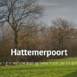 Open dag Hattemerpoort