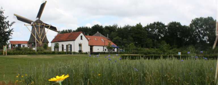 Zomerse lunch met Edith op Vrieze’s Erfgoed