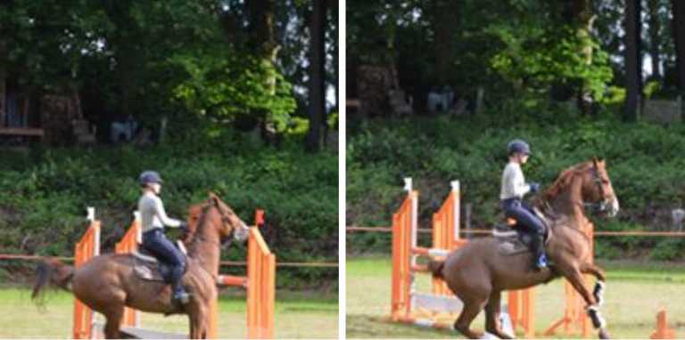 Hippinkstertoernooi met wind en regen