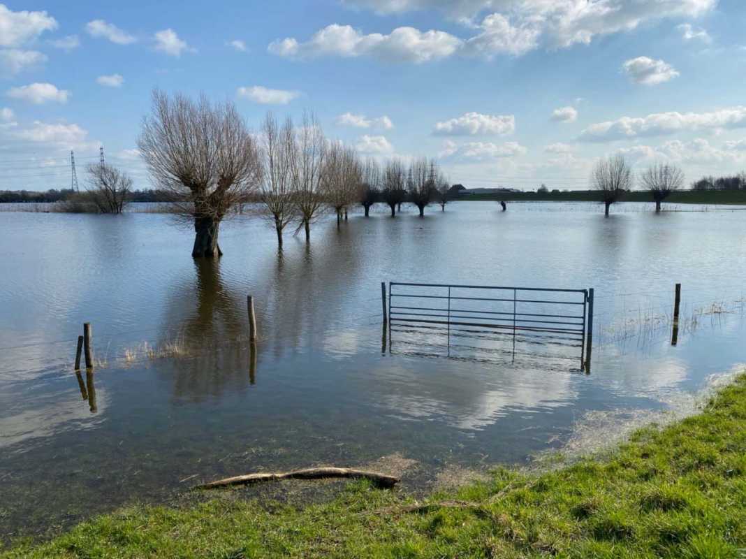 Rivierverhalen over de IJssel wat als het water stijgt RTV Hattem