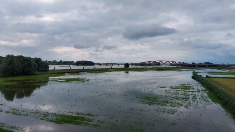 Waterstand IJssel bij Katerveer