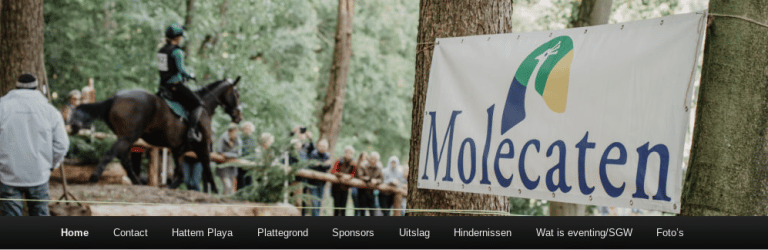 Molecaten Ruiterdag in Hattem