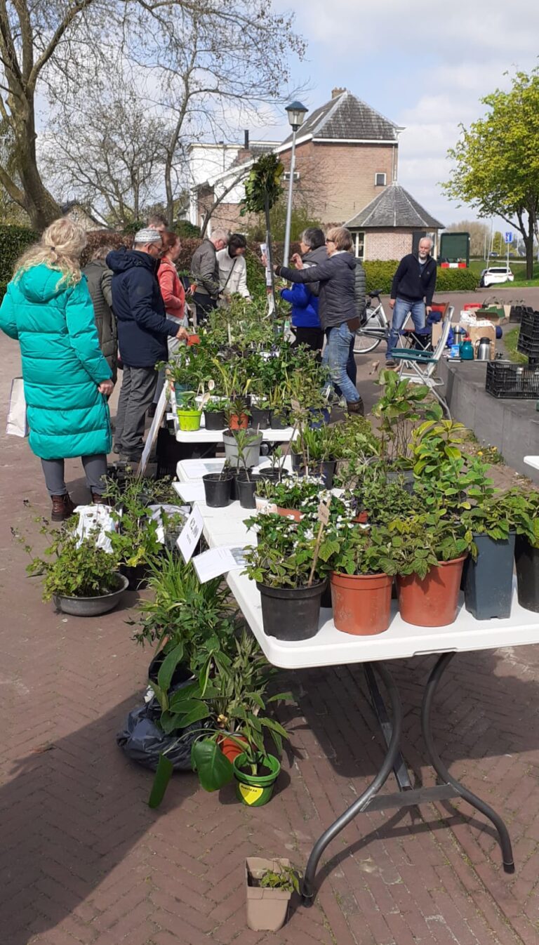 Groen Goud plantenmarkt