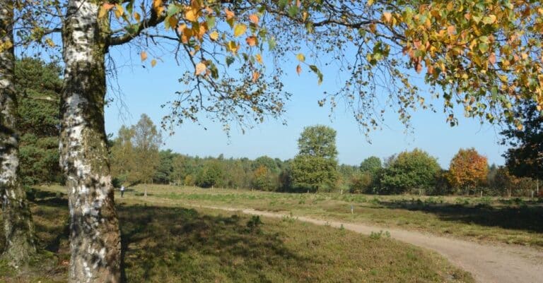 wandeling met natuurgids