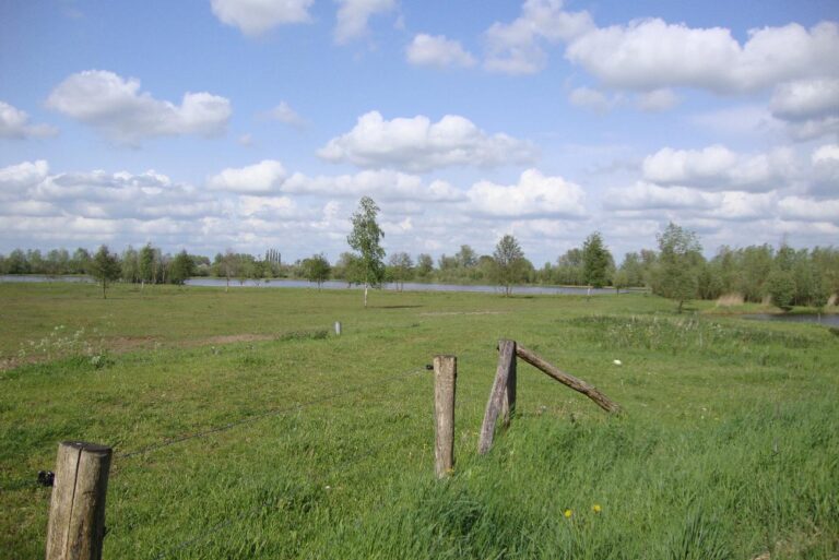 Excursie Wiessenbergsche Kolk