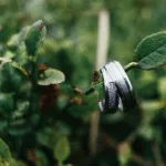 Gouden trouwringen: hoe kies je de juiste?