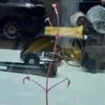 Stadsbioscoop met historische beelden