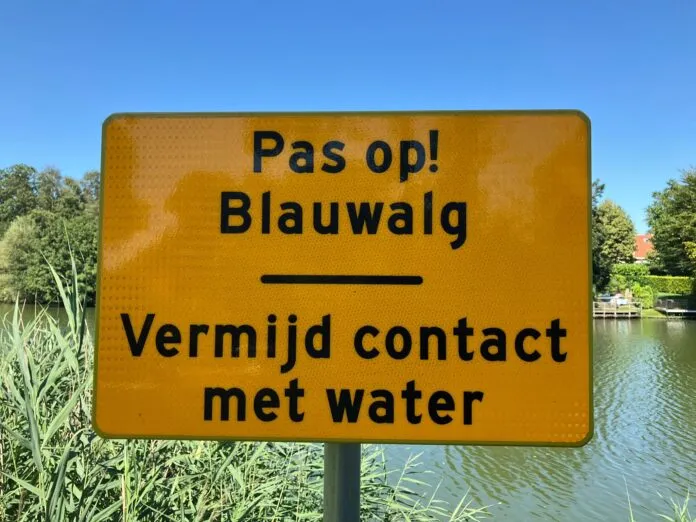 240812 foto bij persbericht blauwalg