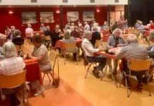 Zomerbridge voor Hattemers en passanten