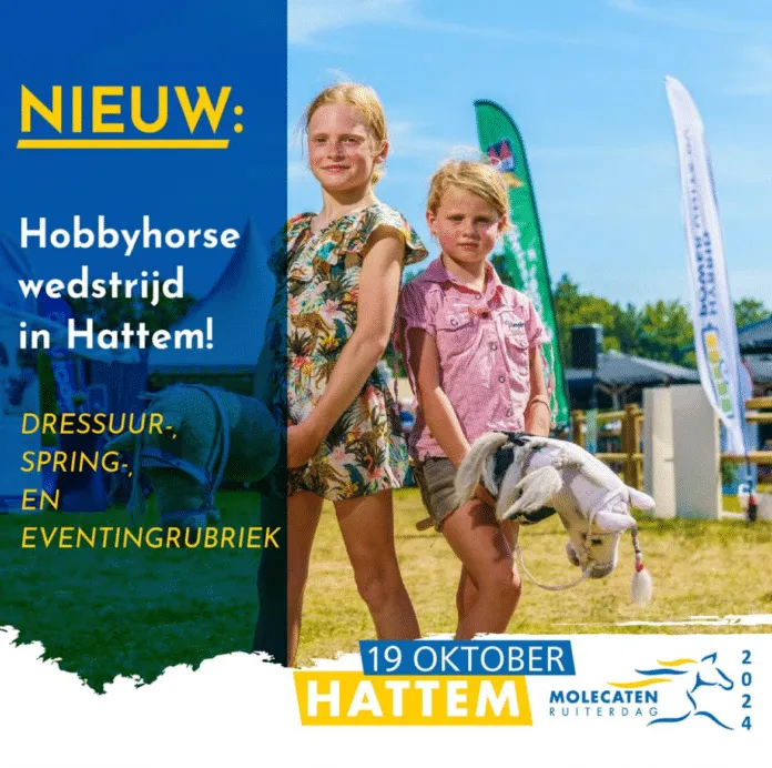 240911 hobbyhorse 19.16.08