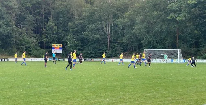 240928 Hattem-Be Quick 02