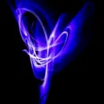 Wilma Wijnen: ‘Sinds ik fotografeer, kijk ik anders’ – Open Atelierdagen