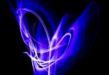 Wilma Wijnen: ‘Sinds ik fotografeer, kijk ik anders’ – Open Atelierdagen