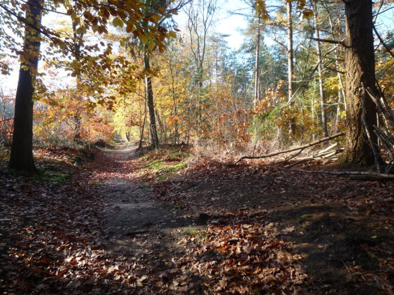 Excursie Veluwe