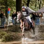 Molecaten Ruiterdag: recordaantal deelnemers van Hippisch Hattem