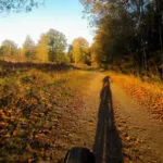 Zaterdag Swolsebostocht