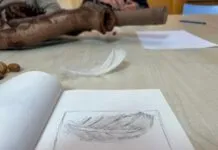 Tekenen met Simone Visser is ‘beter kijken’ en ‘mediteren’