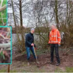 Buurt vervangt sleedoorn en ‘oogst’ nieuw leven