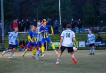 Hatto-Heim sluit 2024 af met nederlaag tegen Dieren