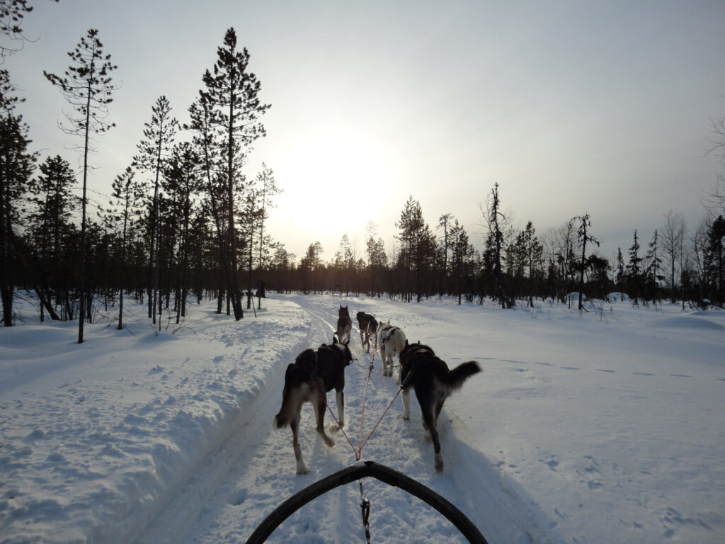250114 finland