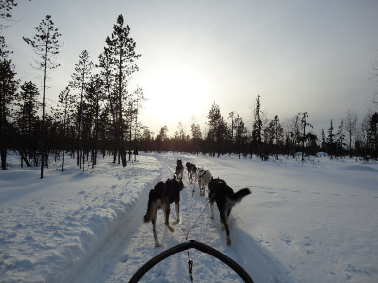 Een wintersportvakantie naar Finland: Veel meer dan alleen skiën