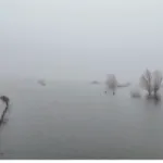 Een vogelvlucht over het brede water van de IJssel