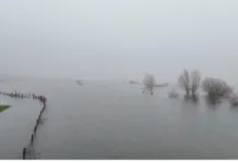 Een vogelvlucht over het brede water van de IJssel