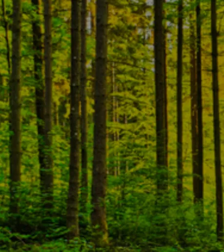 Natuur en Milieu Gelderland