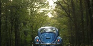 De weg naar je rijbewijs: Een slimme voorbereiding op het theorie-examen