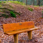 Wandelend luisteren in en rond Hattem