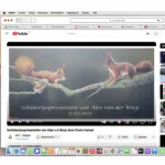 Alex van der Worp exposeert â een reportage