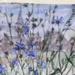 Heemkunde Hattem komt met nieuw kwartaalnummer