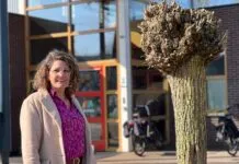 Nieuwe directeur De Marke wil van los zand naar een bloeiend geheel. Wat willen de Hattemers?