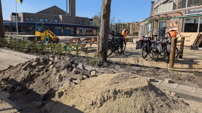 PXL_20250321_123207930