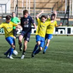 Efficiënt Den Ham wint van Hatto-Heim