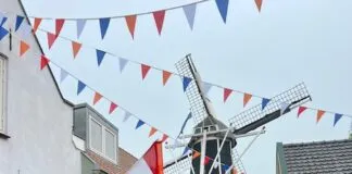 In beeld: Koningsdagzonnetje