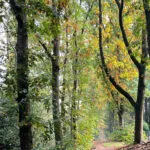 VLMH over sportpark-besluit: positief op aspecten maar ook afwachtend over besluitvorming