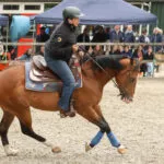 Hippisch Hattem vierde groots 90 jaar paardensport Hattem