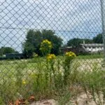 ‘Geen verhoogde concentratie asbest’ Brimos-terrein