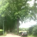 Omwonenden sportpark deden 26 mei hun zegje