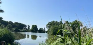 Nachtvissen aangenomen