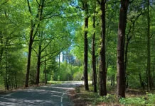 Hattem als centrum van de Noord-Veluwse ‘klimmetjes’