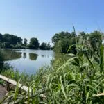 Deze (nacht)vis krijgt nog een staartje