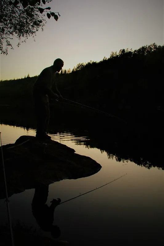 52135158154_d79eb3d0ef_c