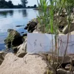 Excursie met IVN Zwolle e.o.: âStruin, kijk, schets en zie meerâ