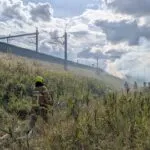 Bermbrand Hanzeboog snel geblust