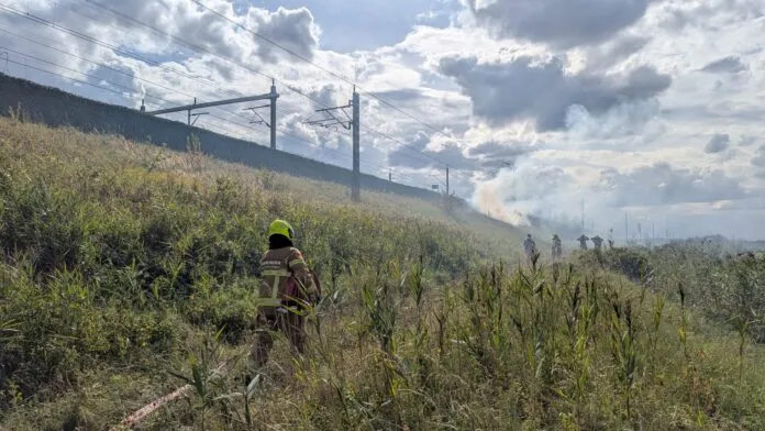 WhatsApp Image 2025-08-29 at 17.21.09