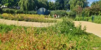 Uitnodiging aan nieuw college: denk na over structuele inbedding Green Deal